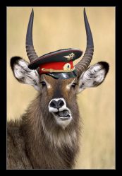 post-18066 thumbnail