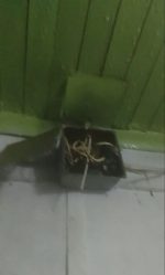 post-20699 thumbnail