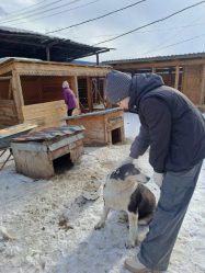 post-21254 thumbnail