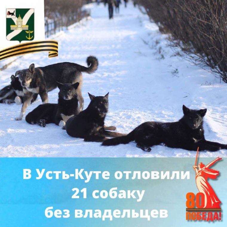 post-21315 thumbnail