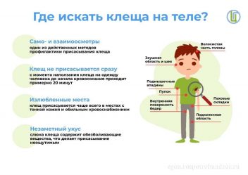 post-23511 thumbnail