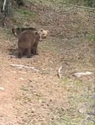 post-25144 thumbnail