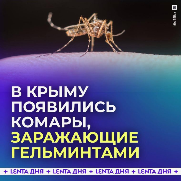 post-27112 thumbnail