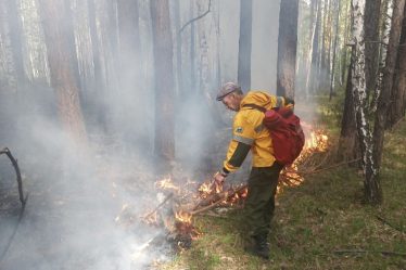 post-29360 thumbnail