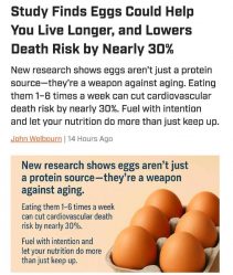 post-28592 thumbnail