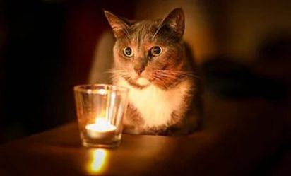 post-35295 thumbnail