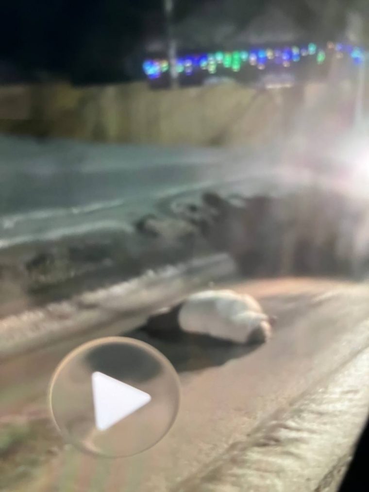 post-35747 thumbnail